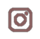 Instagram Icon