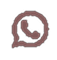 WhatsApp Icon